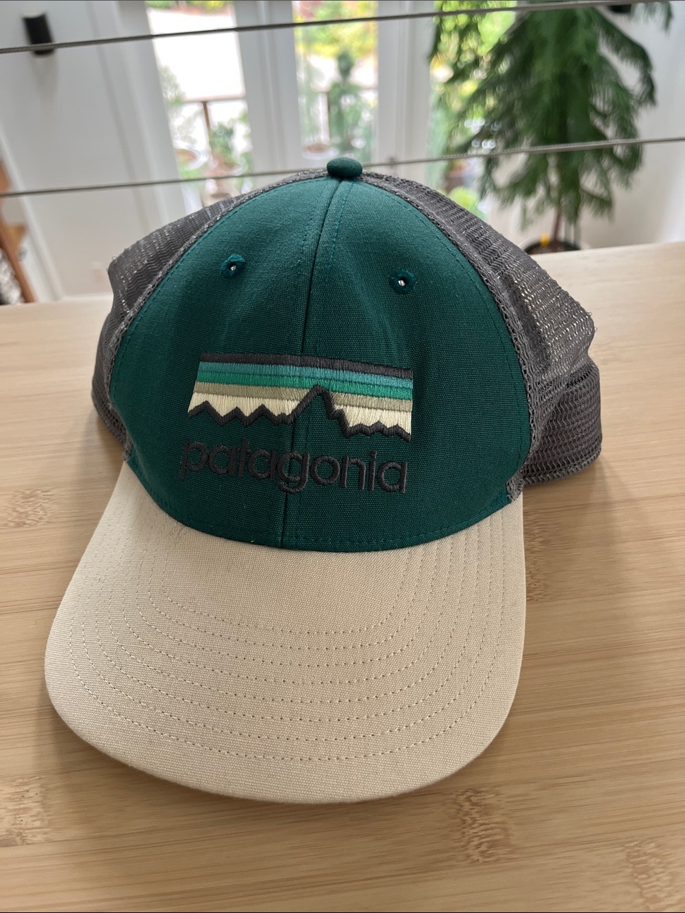 Patagonia Cap hat in Teal Green, Cream and Gray
